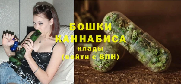 МДПВ Елабуга