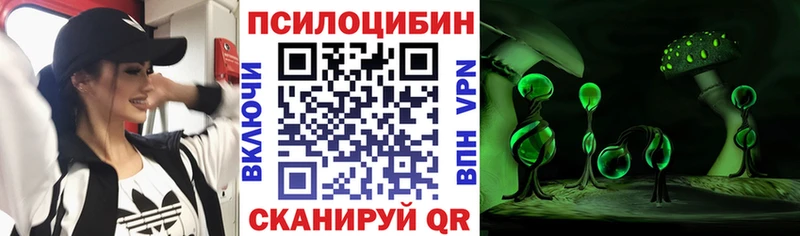Галлюциногенные грибы GOLDEN TEACHER  Купить  Богородицк 
